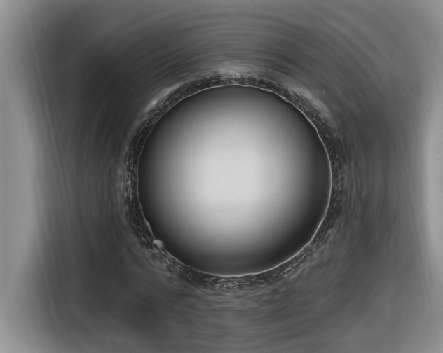 X0000116650776200912141254