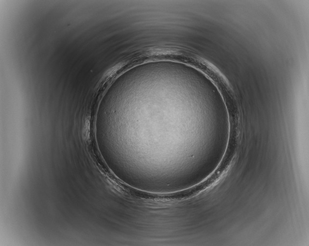 X0000116650777200912141254