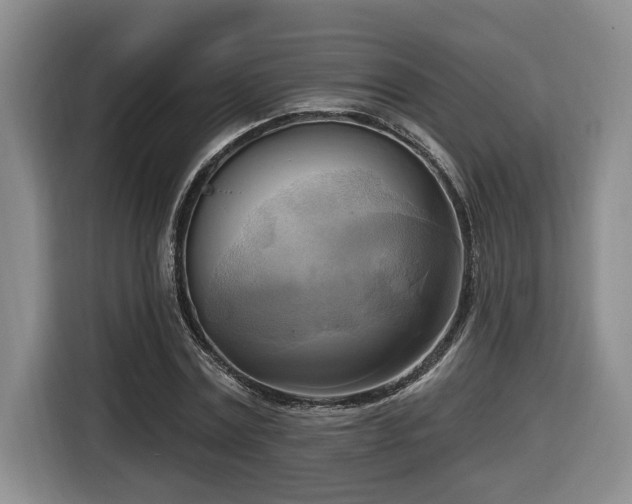 X0000116650779200912141254