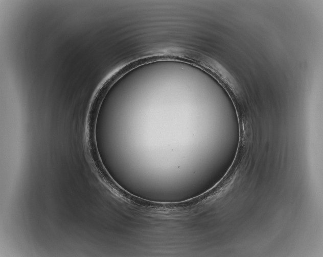 X0000116650780200912141254