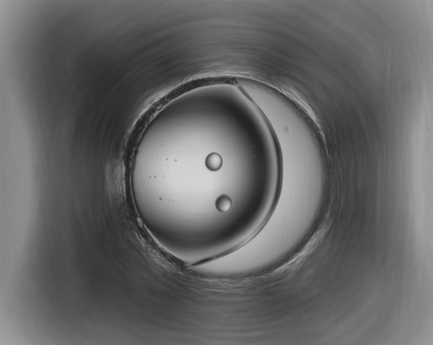 X0000116650781200912141254