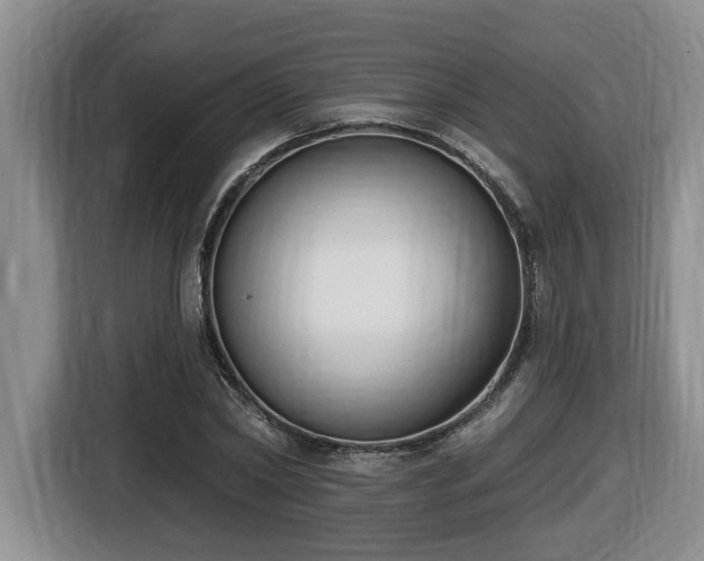 X0000116650782200912141254