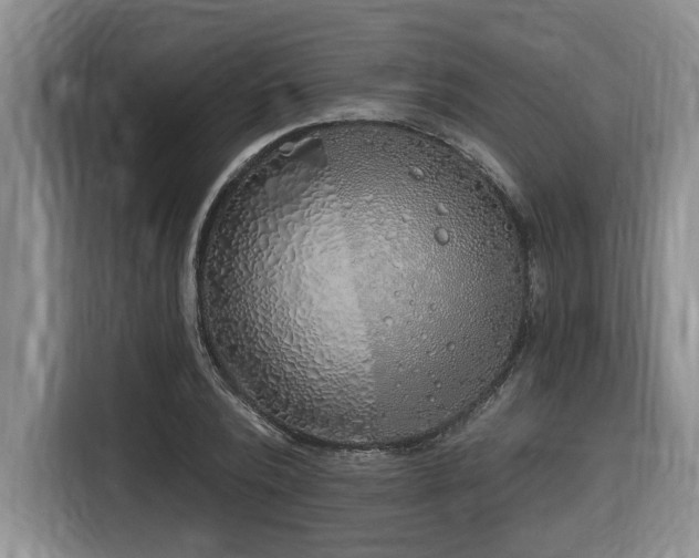 X0000116650784200912141254