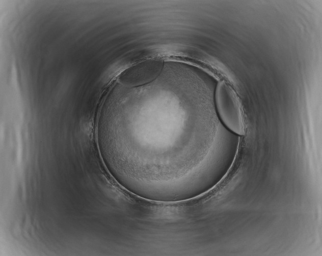 X0000116650785200912141254