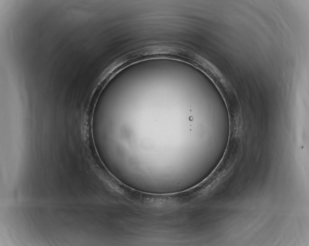 X0000116650786200912141254
