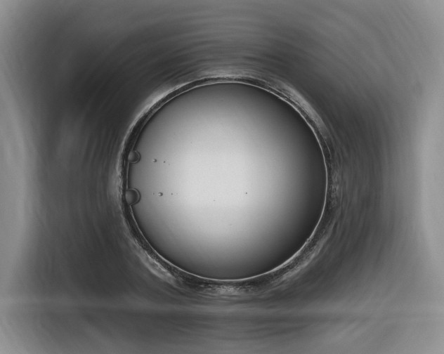 X0000116650787200912141254