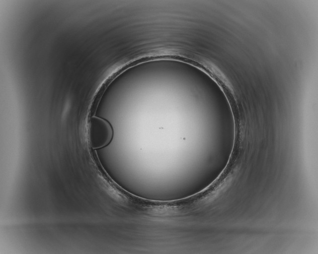 X0000116650789200912141254