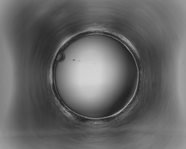 X0000116650791200912141254