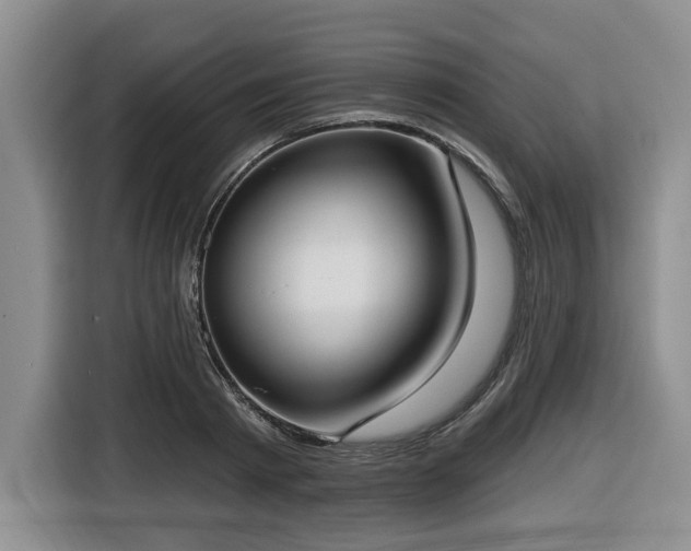X0000116650793200912141254