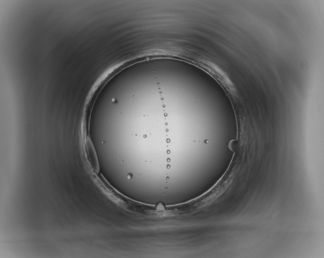 X0000116650796200912141254