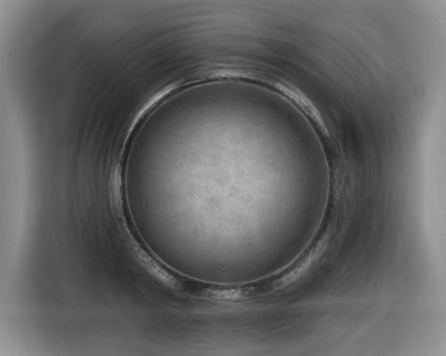 X0000116650798200912141254
