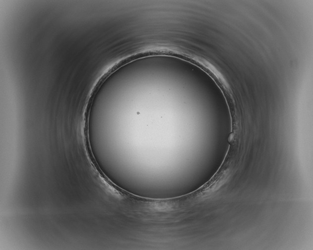 X0000116650799200912141254