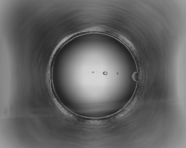 X0000116650800200912141254