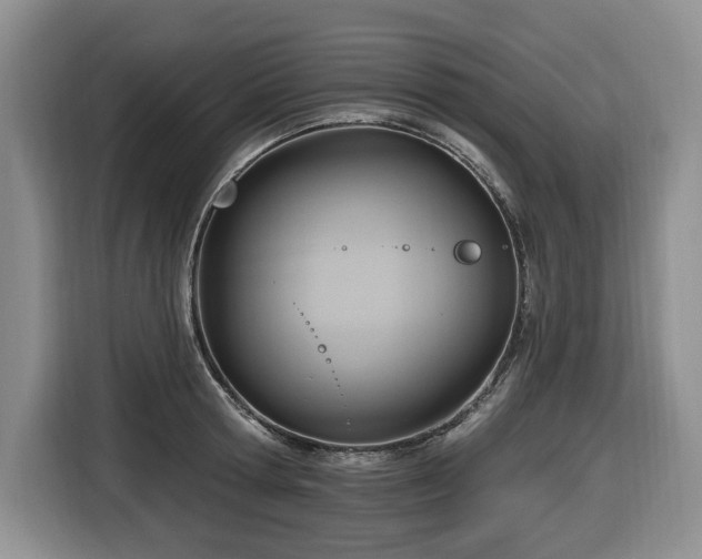 X0000116650802200912141254