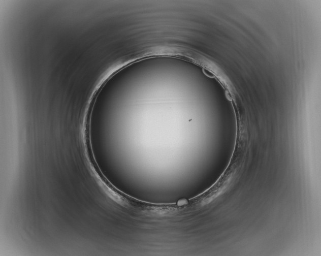 X0000116650803200912141254