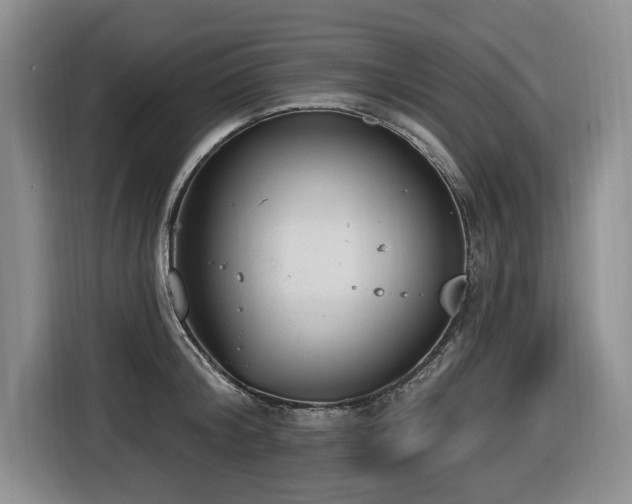 X0000116650804200912141254