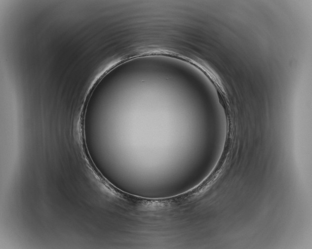 X0000116650806200912141254