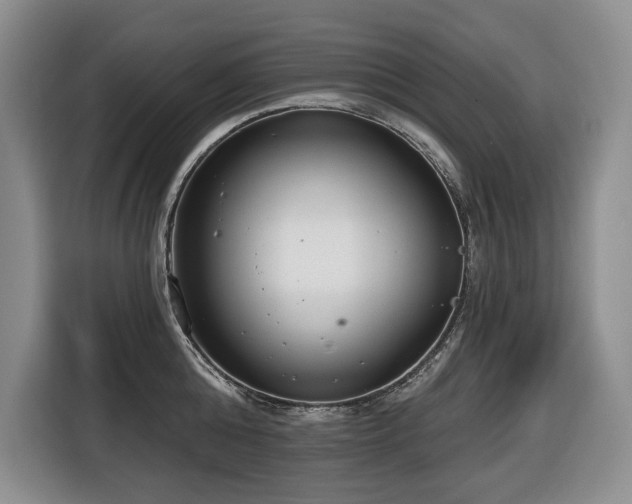 X0000116650808200912141254