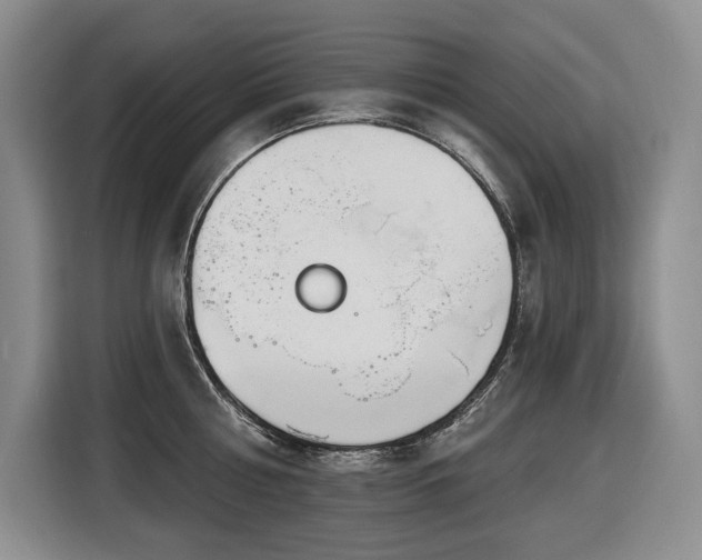 X0000116650810200912141254