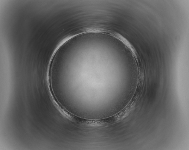 X0000116650811200912141254