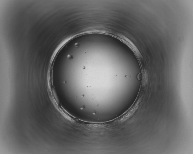 X0000116650812200912141254