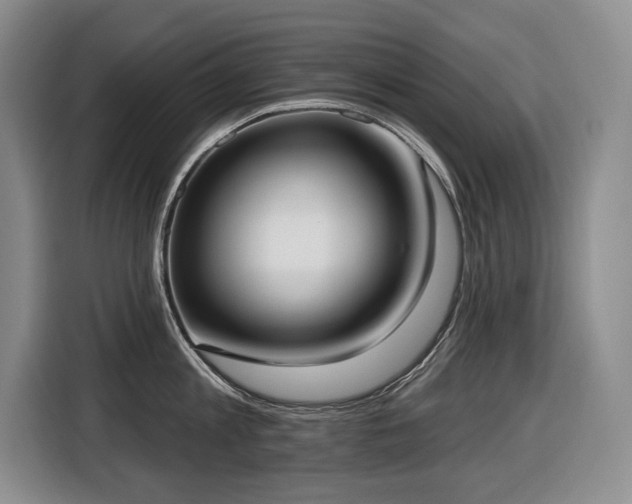 X0000116650813200912141254