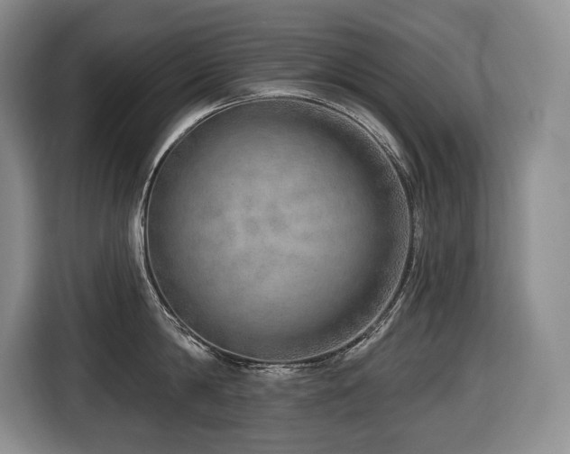 X0000116650814200912141254
