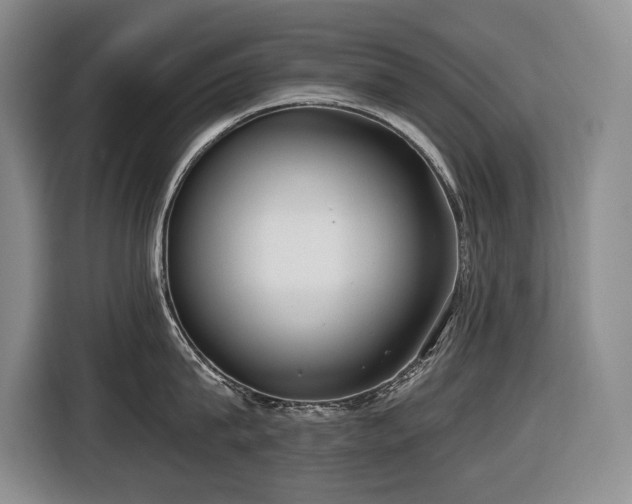X0000116650815200912141254
