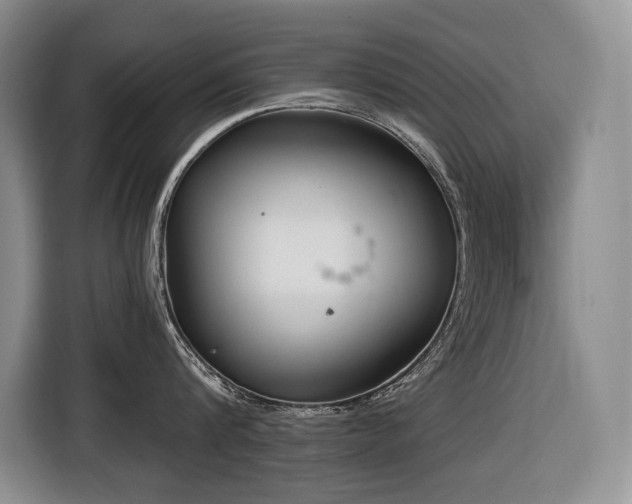 X0000116650816200912141254