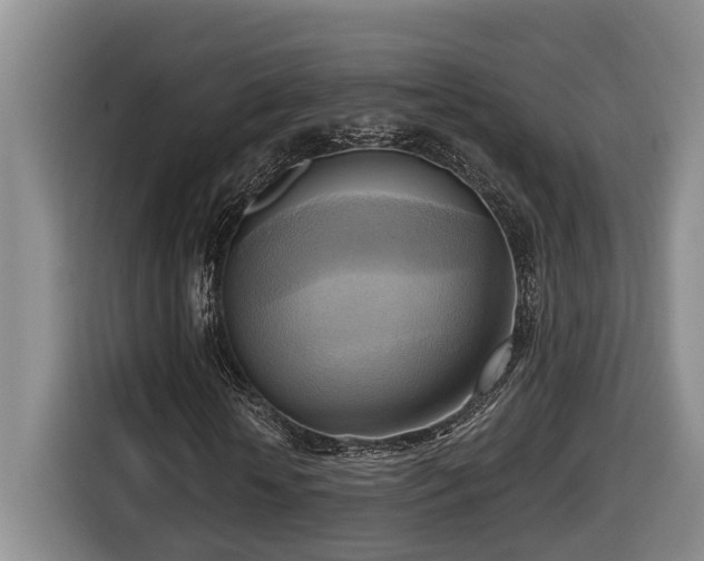 X0000116650818200912141253