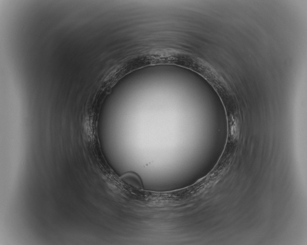 X0000116650819200912141253