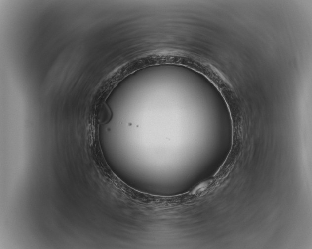 X0000116650821200912141253