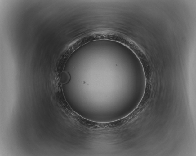 X0000116650822200912141253