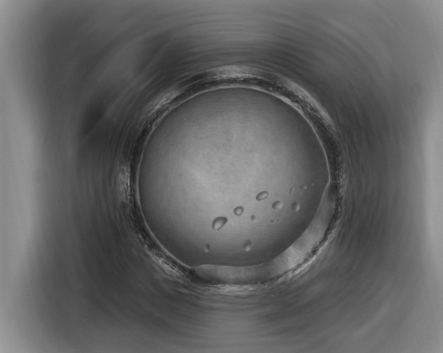 X0000116650825200912141253