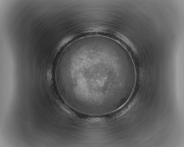 X0000116650826200912141253