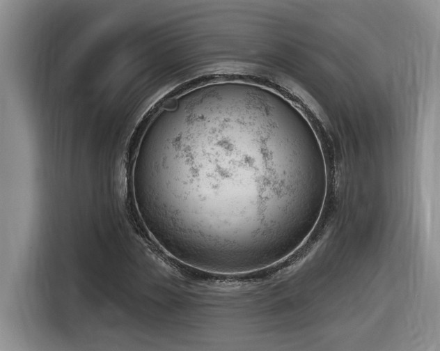 X0000116650829200912141253