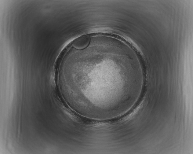 X0000116650830200912141253