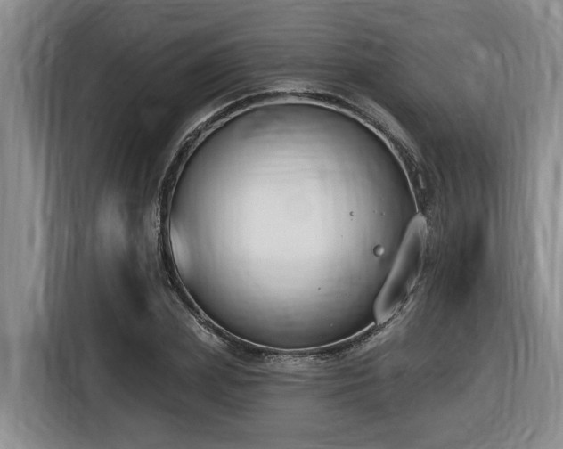X0000116650831200912141254