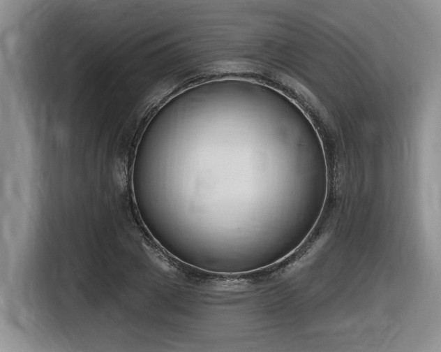 X0000116650833200912141254