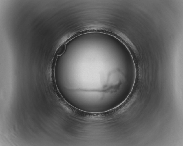 X0000116650834200912141254