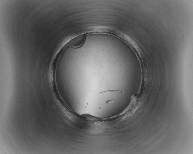 X0000116650835200912141254