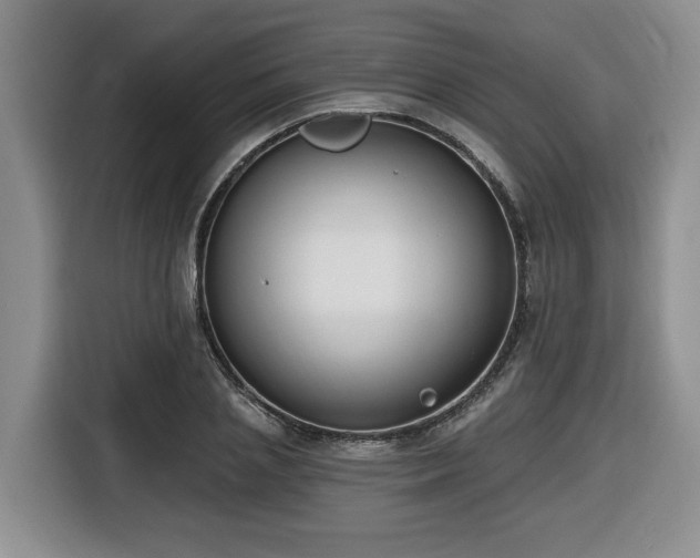 X0000116650837200912141254