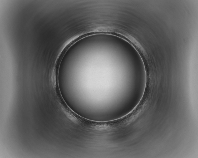 X0000116650838200912141254