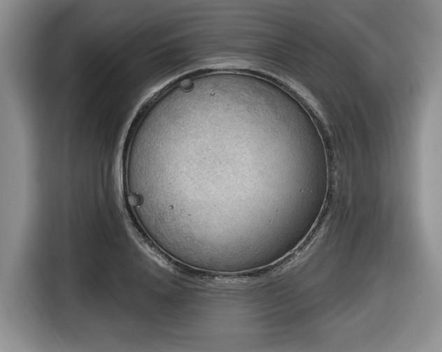 X0000116650840200912141254