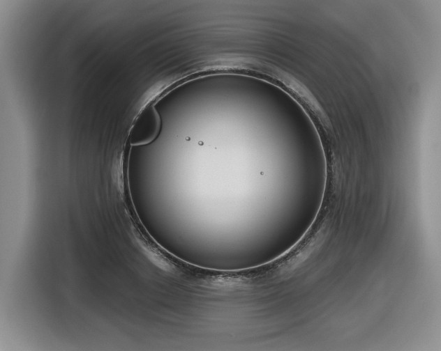 X0000116650842200912141254
