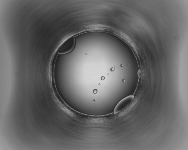 X0000116650843200912141254
