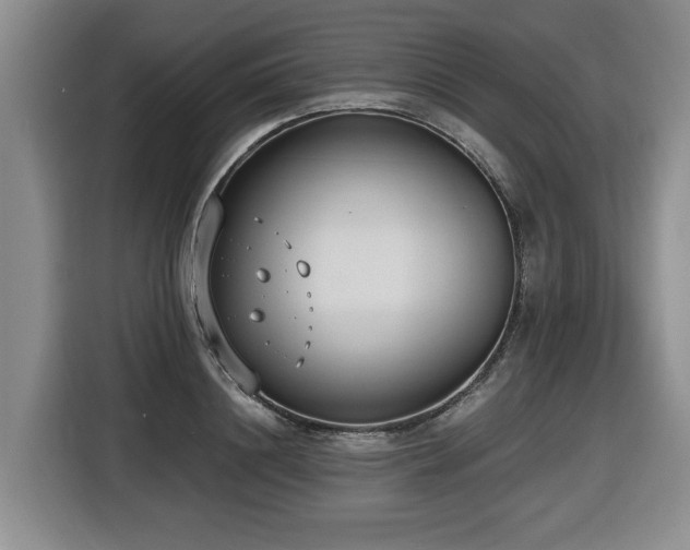 X0000116650844200912141254