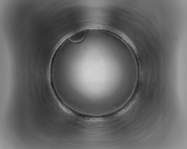 X0000116650845200912141254