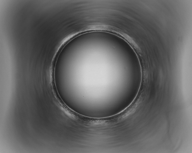 X0000116650846200912141254
