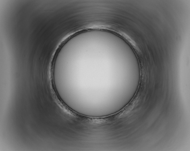 X0000116650848200912141254